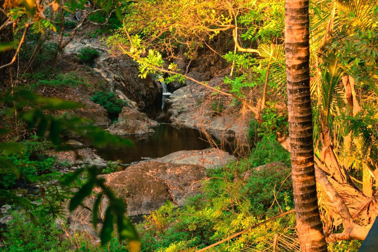 Hotel La Cascada Puntarenas Bagian luar foto